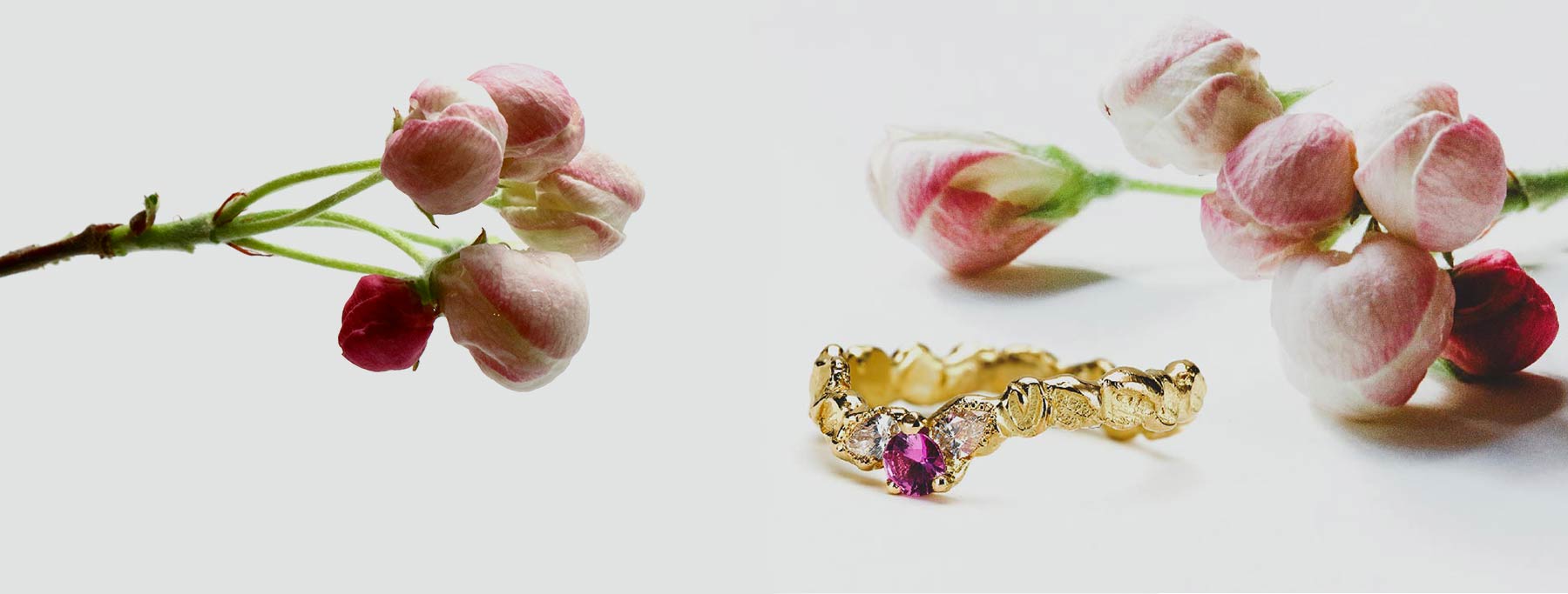Bague-pommiers-home2