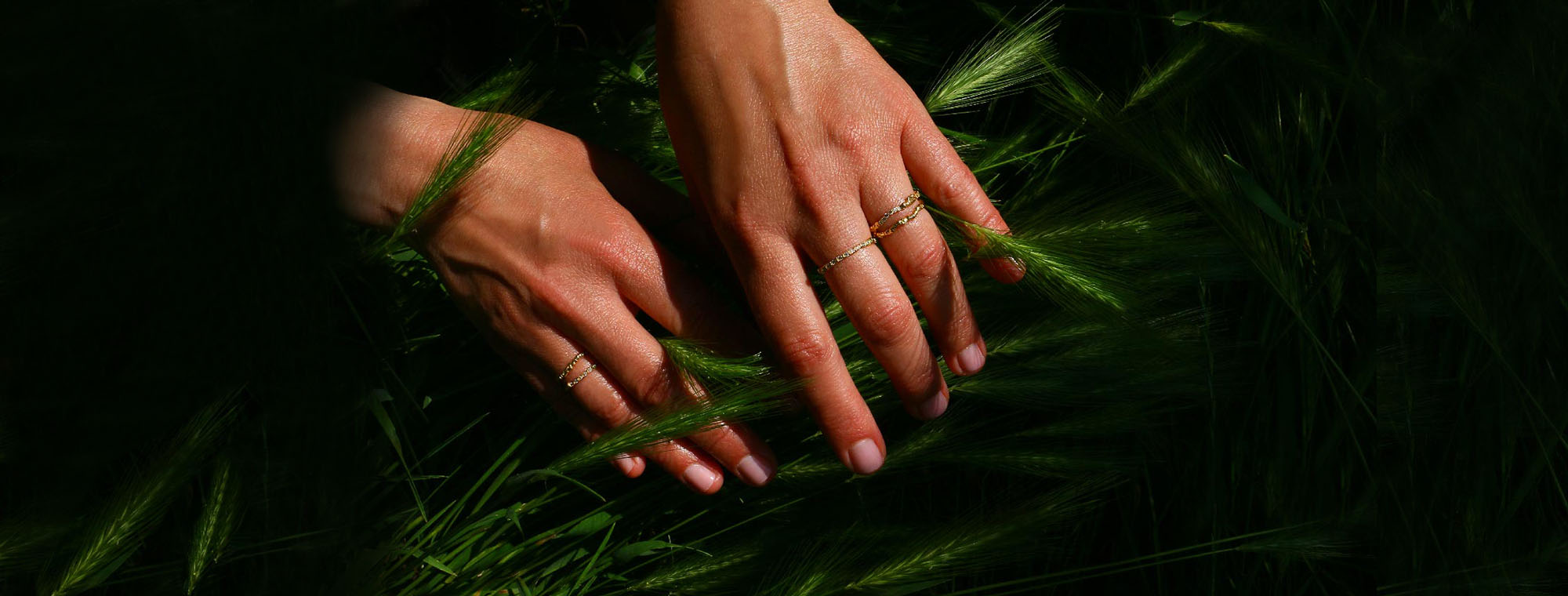 _Slider-foire-du-trone-mains-herbes
